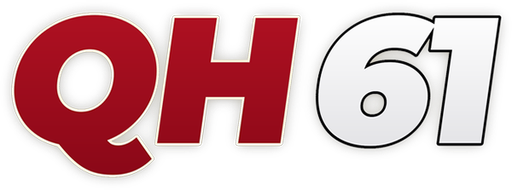 vnqh61.com Logo